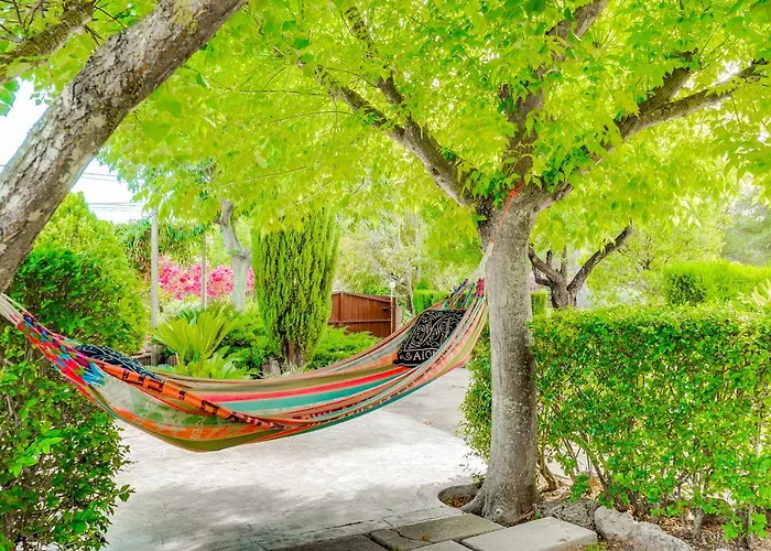 Finca MARIPOSA Alcudia